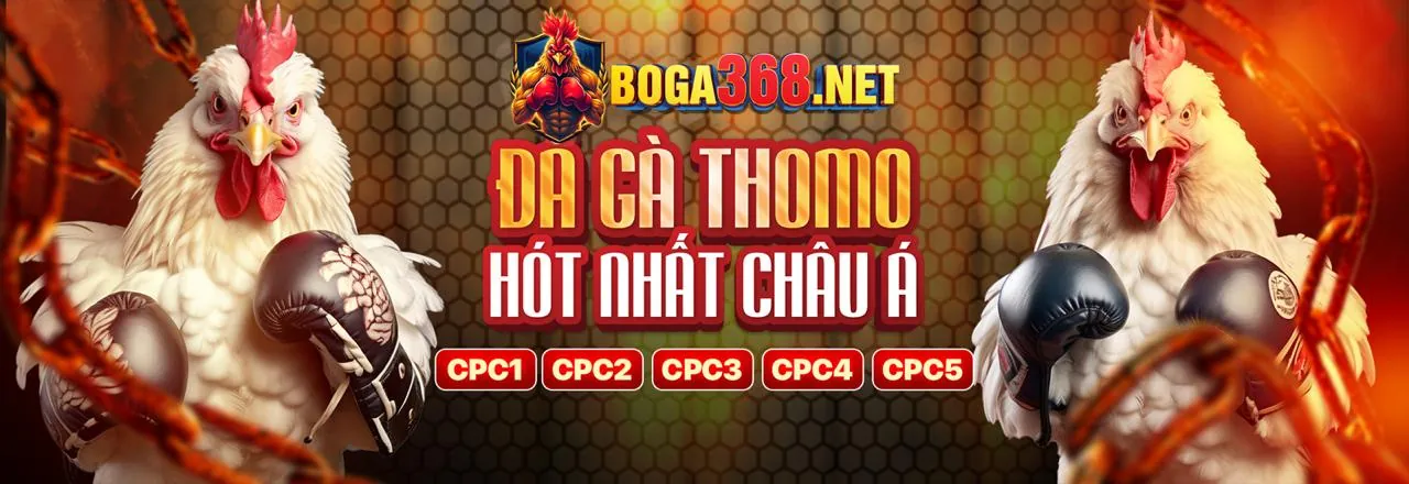Bắn cá và đá gà 58wib